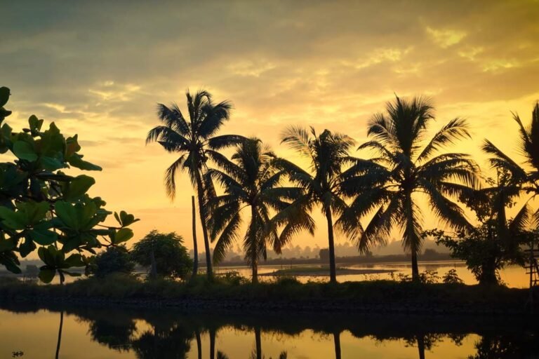 Kadamakkudy sun rise